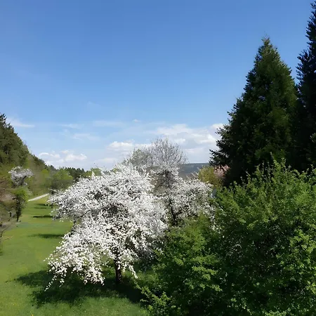 Ferienglueck Vogelsang
