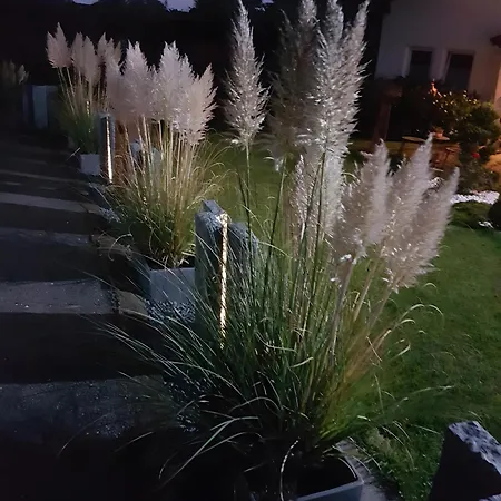 Ferienglueck Vogelsang Apartament Loßburg